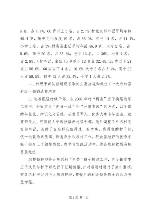 村干部队伍建设调研报告范文大全.docx