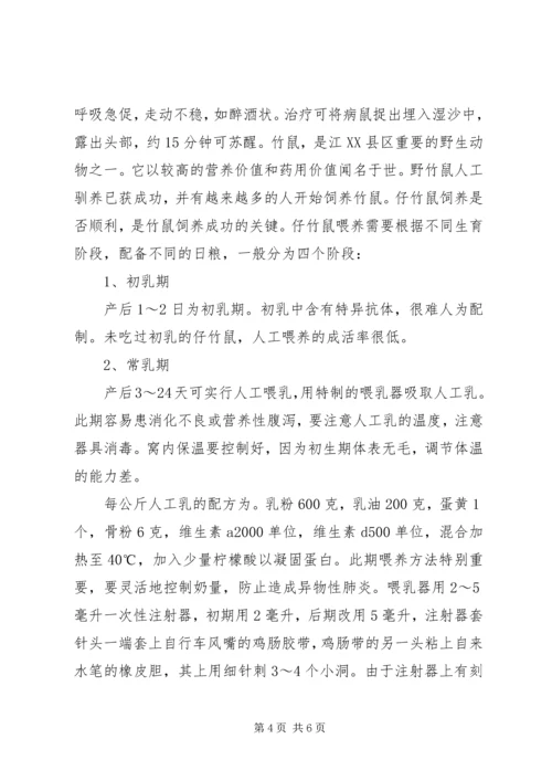 竹鼠养殖计划书 (4).docx