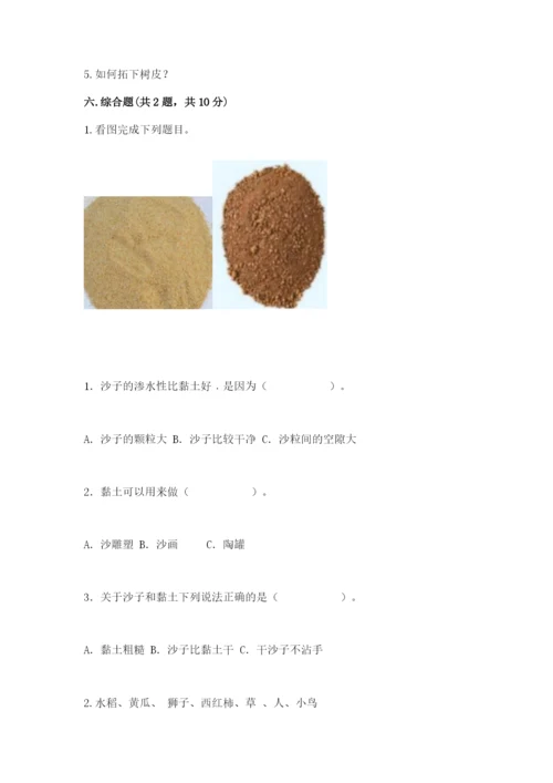 苏教版一年级下册科学期末测试卷附答案（完整版）.docx