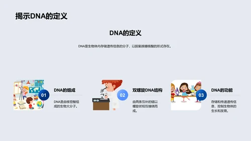 DNA结构与功能PPT模板