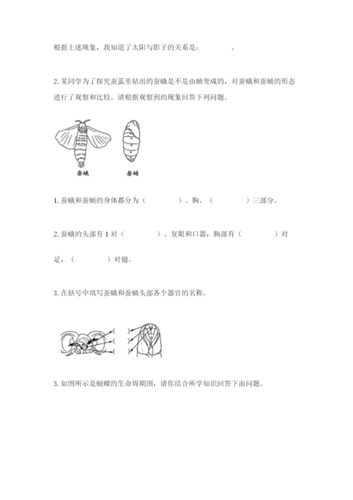 教科版三年级下册科学期末测试卷【模拟题】.docx