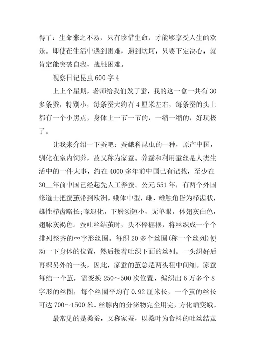 2024年观察日记昆虫600字范文