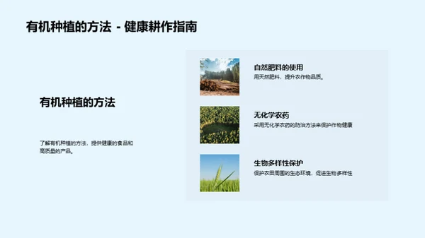 深化绿色农业