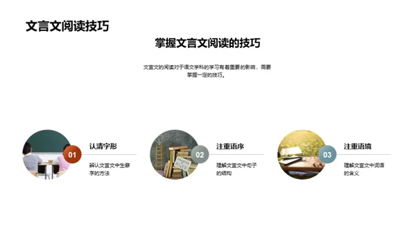 初中语文全面提升