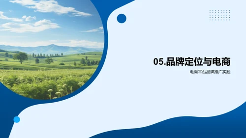 电商助力农品品牌