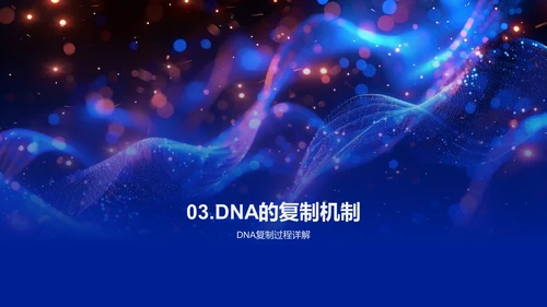 DNA结构与功能