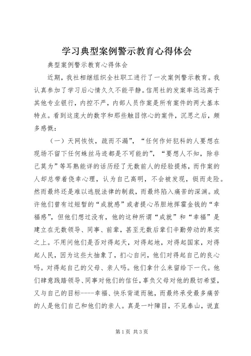 学习典型案例警示教育心得体会 (5).docx