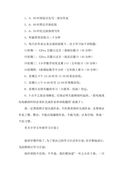 有关小学五年级学习计划.docx