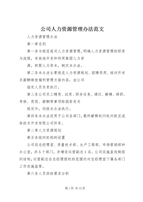 公司人力资源管理办法范文 (4).docx