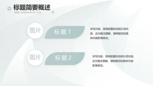 高端品牌介绍策划方案工作总结计划PPT