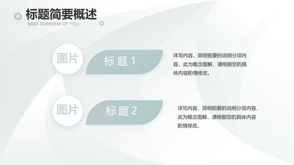 高端品牌介绍策划方案工作总结计划PPT