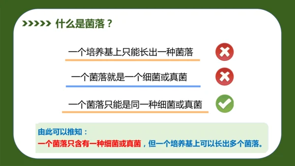 人教版生物七年级上册2.3.1《微生物的分布》（教学课件）(共37张PPT)+视频素材