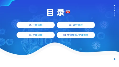 医疗护理个案汇报通用PPT模板