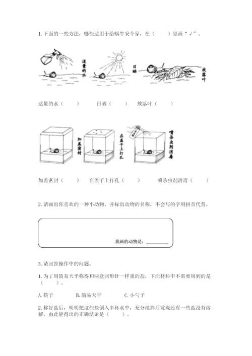 教科版一年级下册科学期末测试卷【黄金题型】.docx