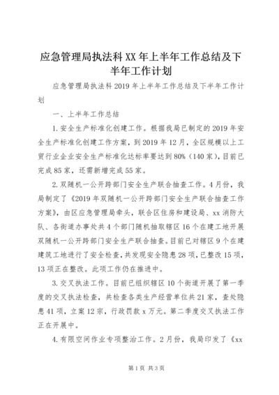 应急管理局执法科XX年上半年工作总结及下半年工作计划 (2).docx