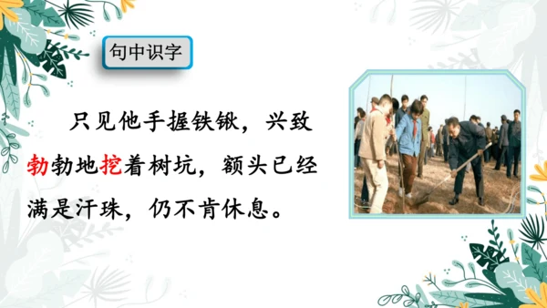 4.邓小平爷爷植树（第一课时）  课件