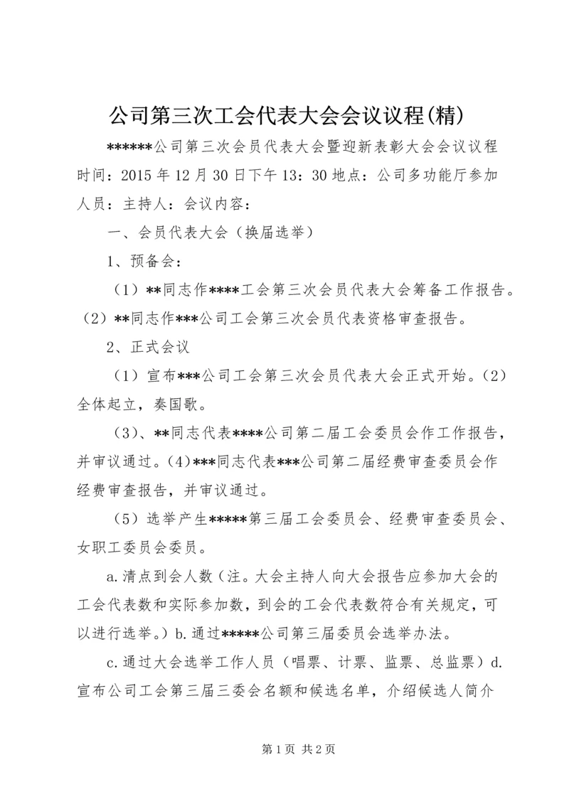 公司第三次工会代表大会会议议程(精).docx