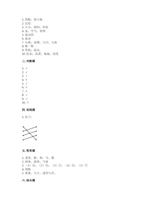 教科版一年级下册科学期末测试卷审定版.docx