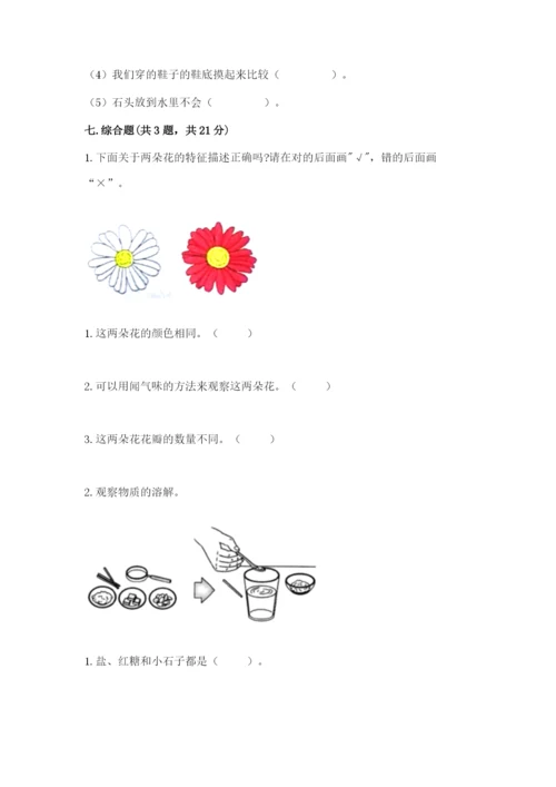 教科版小学科学一年级下册期末测试卷及参考答案【模拟题】.docx