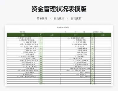 资金管理状况表模版