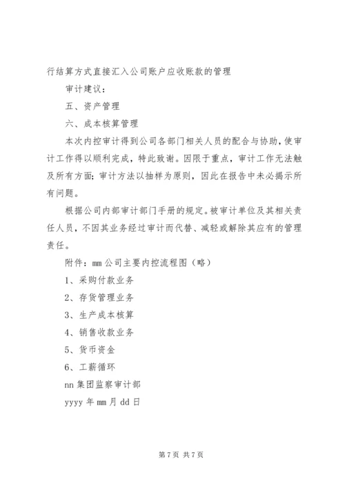 企业内部控制审计报告(3)_1.docx