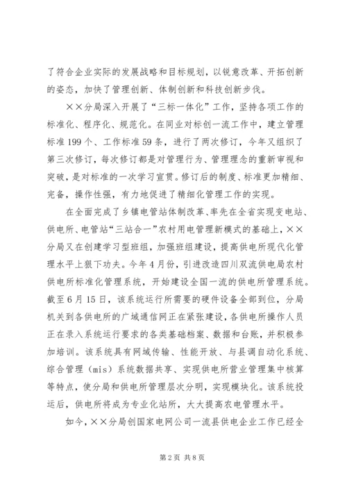 供电公司创建全国一流供电企业纪实五篇范文 (5).docx