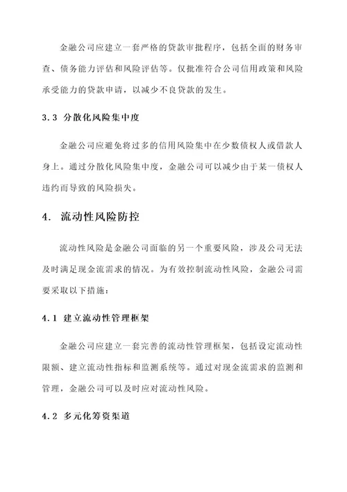 金融公司风险防控方案