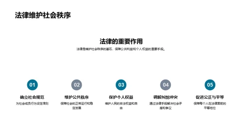 法学视角下的社会洞察