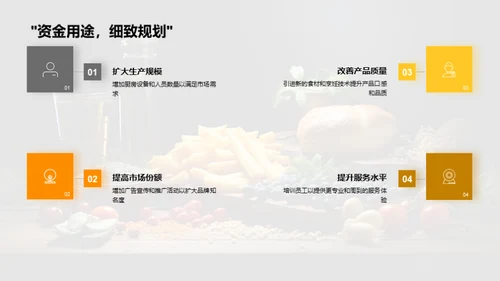 美食公司融资规划