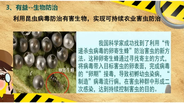 人教版生物八年级上册5.5《病毒》（课件）(共30张PPT)+视频素材