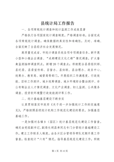 县统计局工作报告 (5).docx