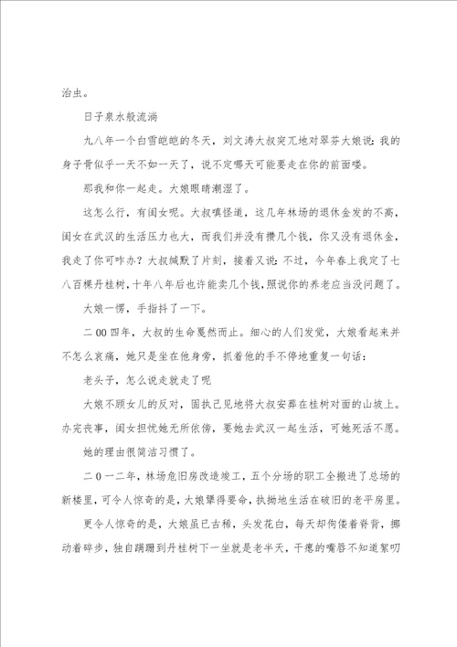 绿色深处丹桂香