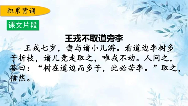 部编版语文四年级上册第八单元复习课件