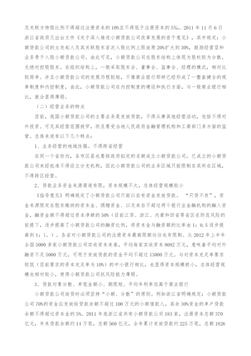 试论小额贷款公司的特点和审计策略.docx