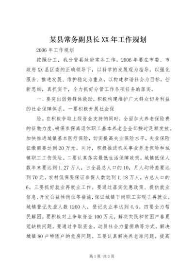 某县常务副县长XX年工作规划 (2).docx