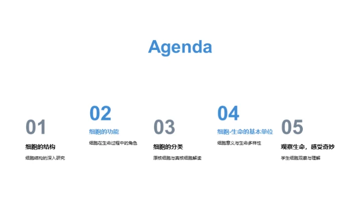 探索细胞世界