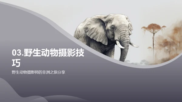 探索非洲野生动物之旅