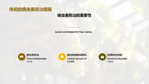 葡萄种植的创新之路