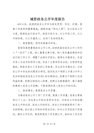 城管政务公开年度报告.docx