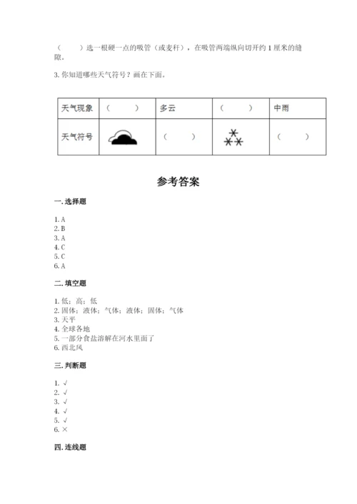 教科版小学三年级上册科学期末测试卷审定版.docx