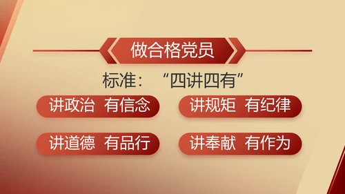 红色党建党支部述职报告动态PPT党课