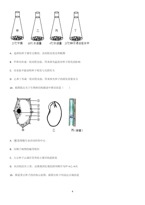 通用版初中生物七年级上册第三单元生物圈中的绿色植物专项训练题.docx
