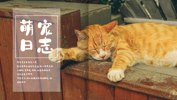 简约宠物萌宠画册电子相册通用PPT模板