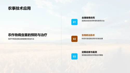 小暑农事全面指南