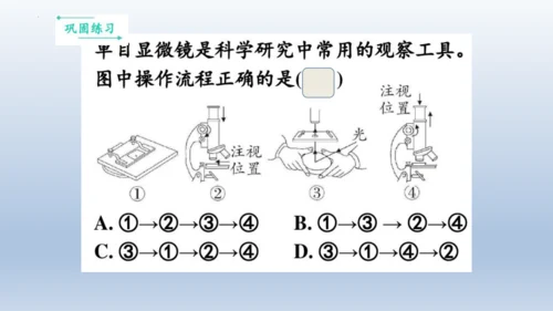 人教版生物七年级上册第一单元《生物与细胞》单元复习课件(共53张PPT)