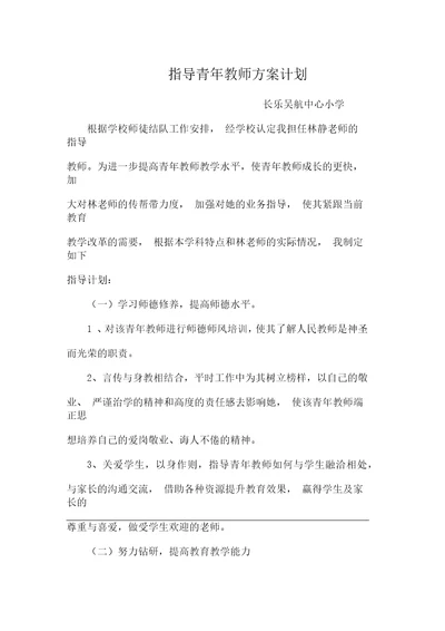 指导青年教师方案计划