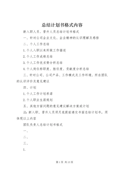 总结计划书格式内容.docx