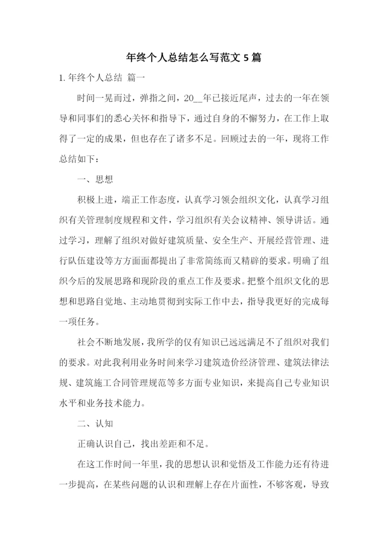 年终个人总结怎么写范文5篇.docx