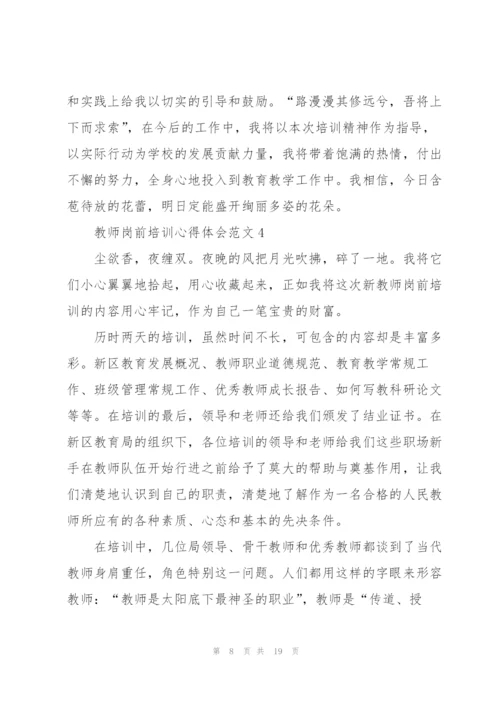 教师岗前培训心得体会范文.docx