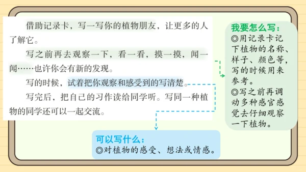 统编版语文三年级下册2024-2025学年度第一单元习作：我的植物朋友（课件）